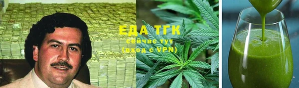 гидра Елабуга