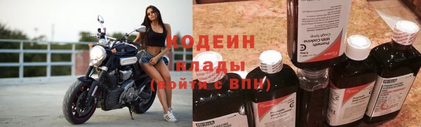 гидра Елабуга