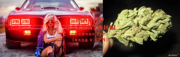мет Елизово