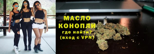 гидра Елабуга