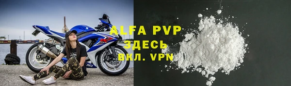 гидра Елабуга