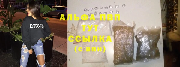 гидра Елабуга