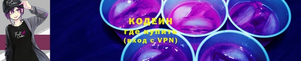 мет Елизово