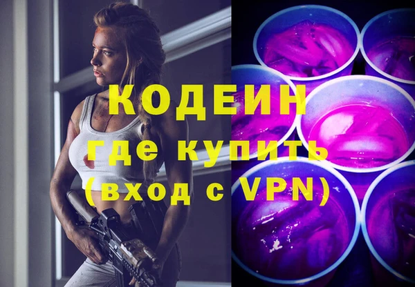 2c-b Ельня
