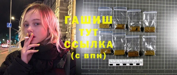 2c-b Ельня