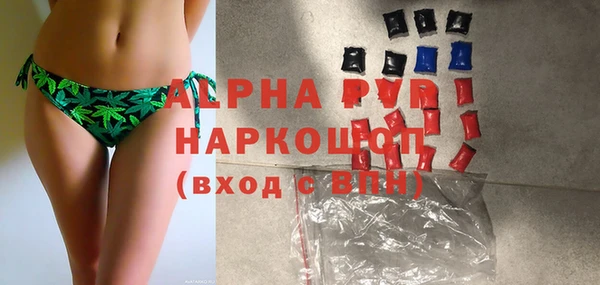 2c-b Ельня