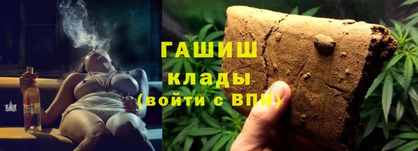 2c-b Ельня