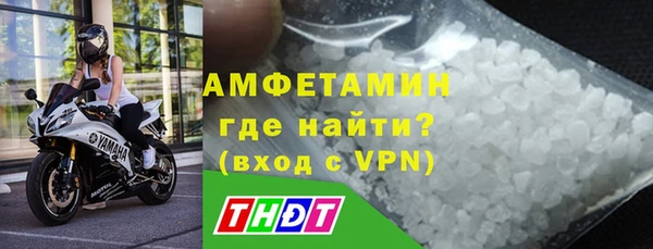гидра Елабуга