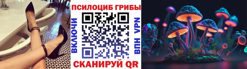 Галлюциногенные грибы Psilocybine cubensis  Купить  Москва 